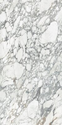 Anatolia 160x320 Arabescato Corchia Block 59 Bookmatch Cut Polished Rectified Colorsync Sintered Slab 6 mm - 1