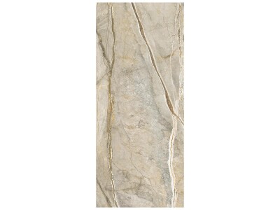 Anatolia 120x280 Majesto Foresta Polished Rectified Colorsync Sintered Slab 6 mm - 1