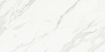 Anatolia 60x120 Majesto Calacatta Borghini Honed - 1
