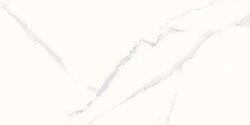 Granito Rino 60x120 Marmo Silver Full Lappato - 1