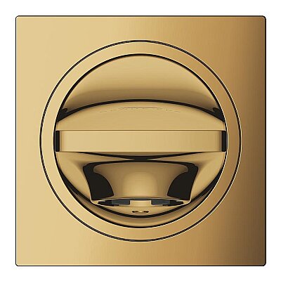 GROHE Allure New Çıkış Ucu, Altın - 13264GL1 - 3