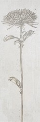 Seranit 30x90 Shabby Chic Flower 1 Beyaz Dekor Mat 1.Kalite - Seranit