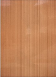 Toprak 20x40 Nova Oranj - 1